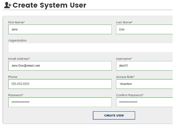System User Form